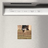 Israelische Gazelle Magnet (In Situ (Geschirrspüler))