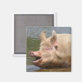 Iss das nicht!!! magnet (Vorderseite/Rückseite)