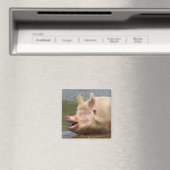 Iss das nicht!!! magnet (In Situ (Geschirrspüler))