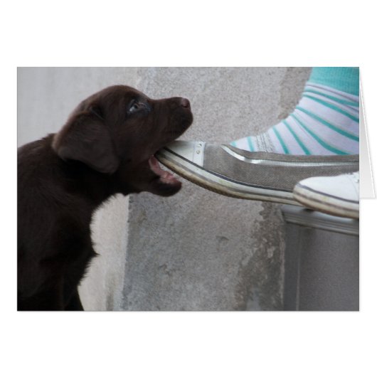 Iss meinen Schuh! Labrador Puppy (Vorderseite (Horizontal))