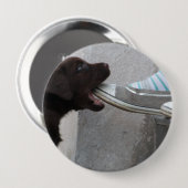 Iss meinen Schuh! Labrador Puppy Button (Vorne & Hinten)