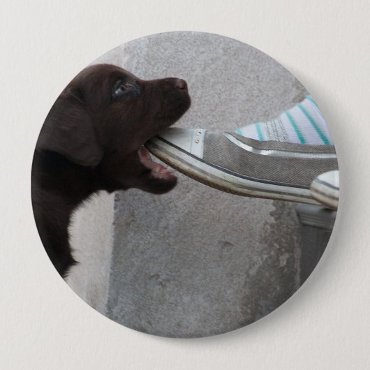 Iss meinen Schuh! Labrador Puppy Button (Vorderseite)