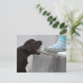 Iss meinen Schuh! Labrador Puppy Postkarte (Stehend Vorderseite)