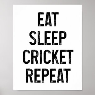 Iss Schlafen Cricket Wiederholen Lustig Vintage Cr Poster