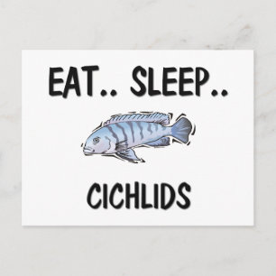 Iss Sleep CICHLIDS Postkarte