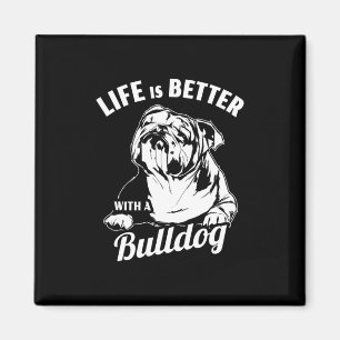 Ist besser mit einem Bulldoten Magnet