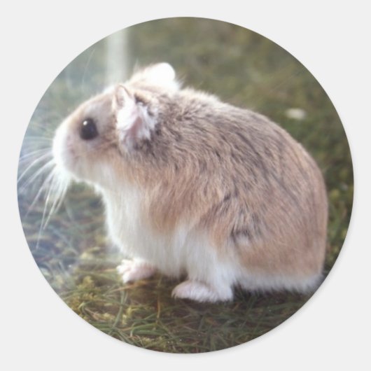 "Ist das eine Biene?" - Tac Sticker (Vorderseite)