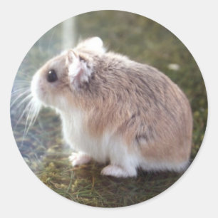 "Ist das eine Biene?" - Tac Sticker