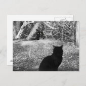 Ist das ich? postkarte (Vorne/Hinten)