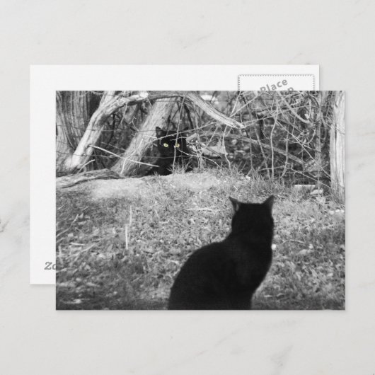 Ist das ich? postkarte (Vorne/Hinten)