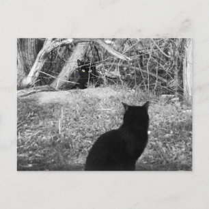 Ist das ich? postkarte