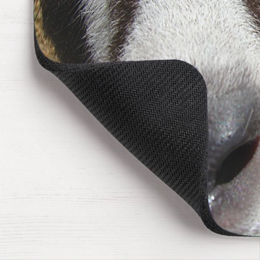 Ist das Kamerafutter? Mousepad (Ecke)