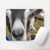 Ist das Kamerafutter? Mousepad (Mit Mouse)