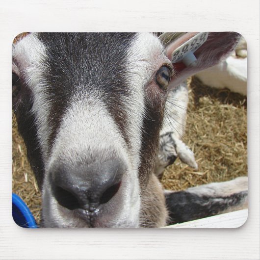 Ist das Kamerafutter? Mousepad (Vorne)