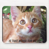 Ist diese Maus für mich? Mousepad (Vorne)