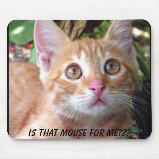 Ist diese Maus für mich? Mousepad