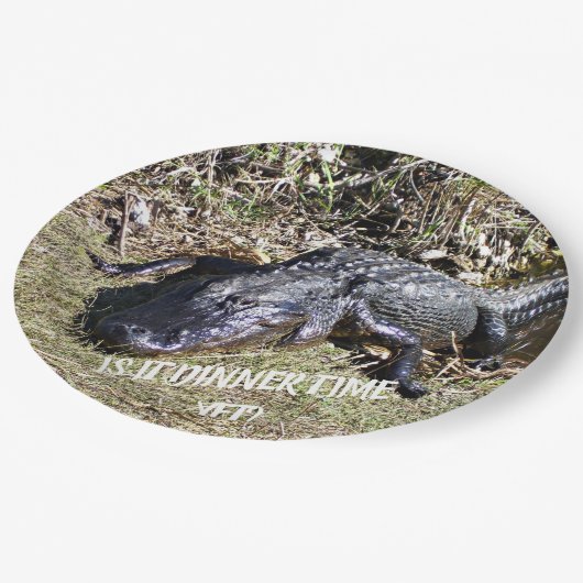 Ist es Abendessen Zeit noch frage der Alligator? Pappteller (Schrägansicht)