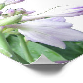 IST ES DAS? POEM-Plakat Poster (Ecke)