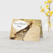 Ist es ein Waldbrand? Karte (Gelbe Blume)
