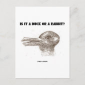 Ist es eine Ente oder ein Kaninchen? (optische Ill Postkarte (Vorderseite)
