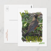 Ist es Frühling? Postkarte (Vorne/Hinten)