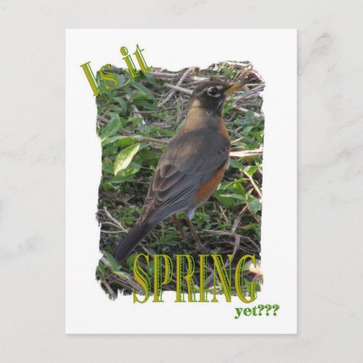 Ist es Frühling? Postkarte (Vorderseite)