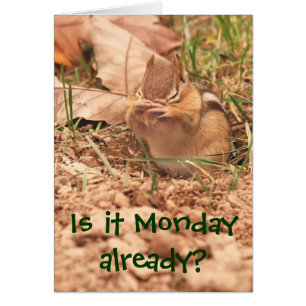 Ist es Montag bereits? Chipmunk-Karte