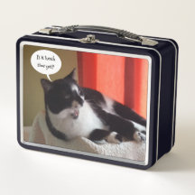 Ist es noch Mittagszeit, tuxedo Katzenjause Boxen