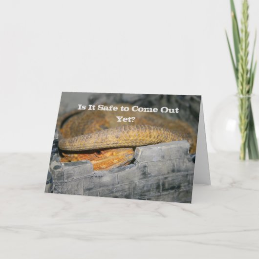 Ist es noch sicher? Bartagame Karte (Vorderseite)