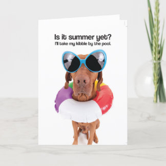 Ist es Sommer schon? (Vizsla) - Gruß-Karte Karte