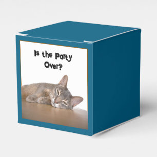 Ist es wirklich Montag? Funny Abyssinian Cat Meme Geschenkschachtel