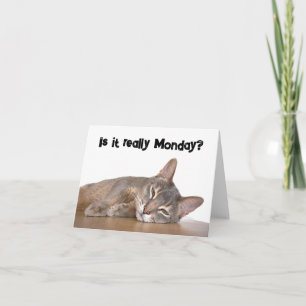 Ist es wirklich Montag? Funny Abyssinian Cat Meme Karte