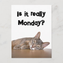 Ist es wirklich Montag? Funny Abyssinian Cat Meme Postkarte