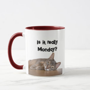 Ist es wirklich Montag? Funny Abyssinian Cat Meme Tasse