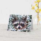 "Ist herauszukommen sicher? " Karte (Gelbe Blume)