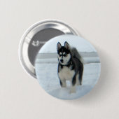 Ist hier Problem Button (Vorne & Hinten)