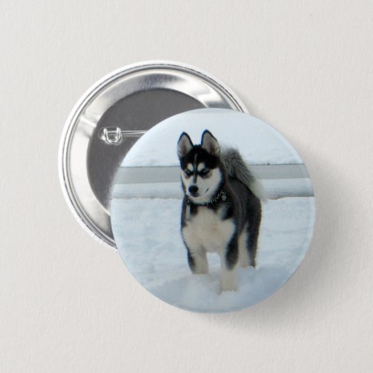 Ist hier Problem Button (Vorne & Hinten)