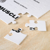 Ist hier, was ich gut definierte Muskeln nennen Puzzle (Seite)