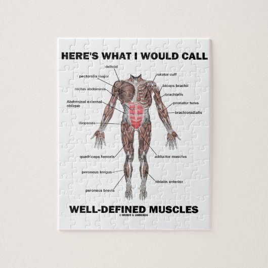 Ist hier, was ich gut definierte Muskeln nennen Puzzle (Vertikal)