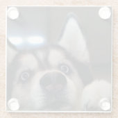 Ist jedes dort draussen glasuntersetzer (Rückseite)