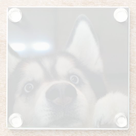 Ist jedes dort draussen glasuntersetzer (Rückseite)