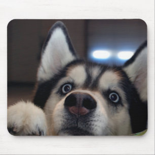 Ist jemand dort draussen? mousepad