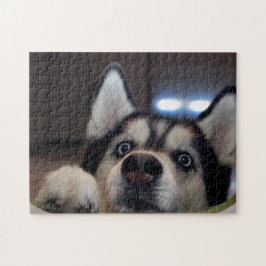 Ist jemand dort draussen? puzzle