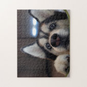 Ist jemand dort draussen? puzzle (Vertikal)