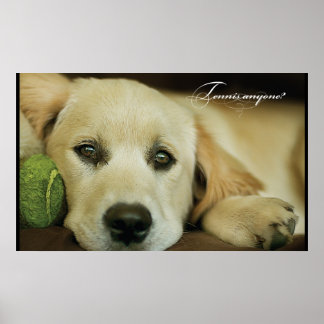 Ist jemand Tennis? Poster