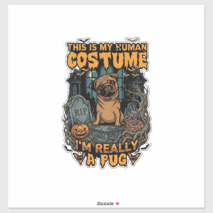 Ist menschliches Kostüm-Pug-Halloween-Kürbis-Grabs Aufkleber