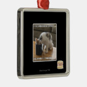 ist nicht koffeinabhängig silbernes ornament (Rechts)