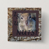 IST U-NÜSSE! BUTTON (Vorderseite)