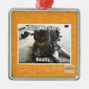 Ist Umarmung. Er mag Silbernes Ornament
