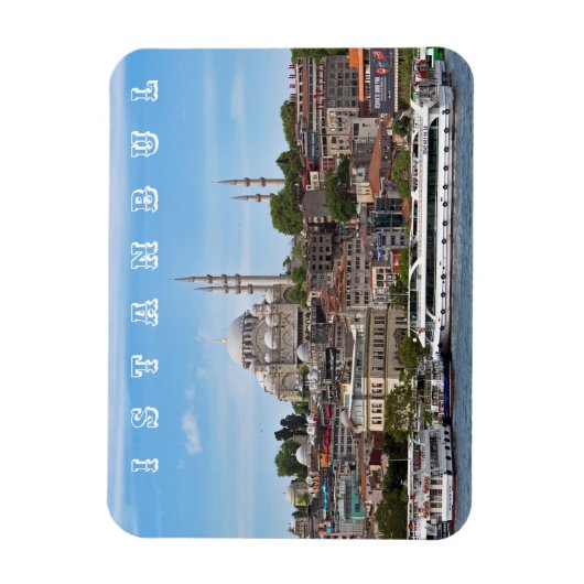 Istanbul. Stadtansicht. Magnet (Vertikal)